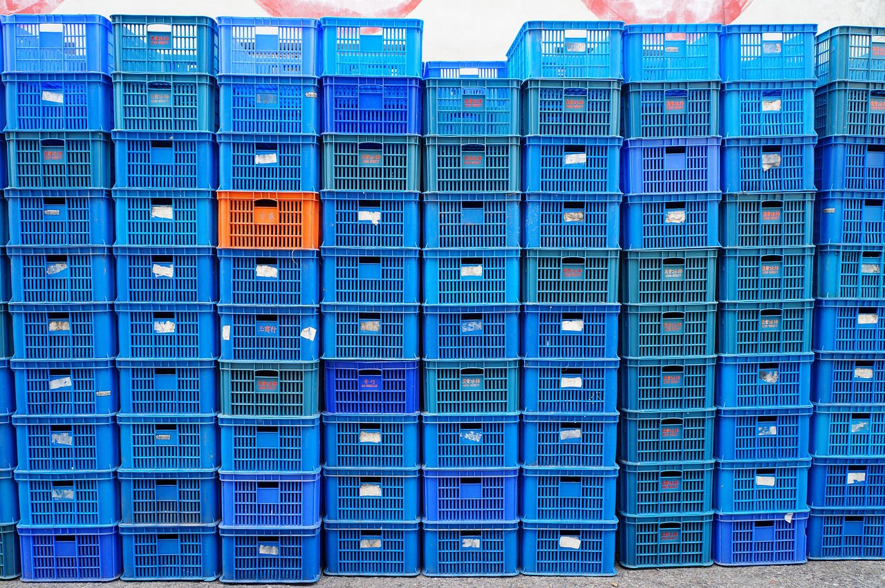 平頂山單知偉，城市發(fā)展的見證者與創(chuàng)新引領(lǐng)者的最新動(dòng)態(tài)