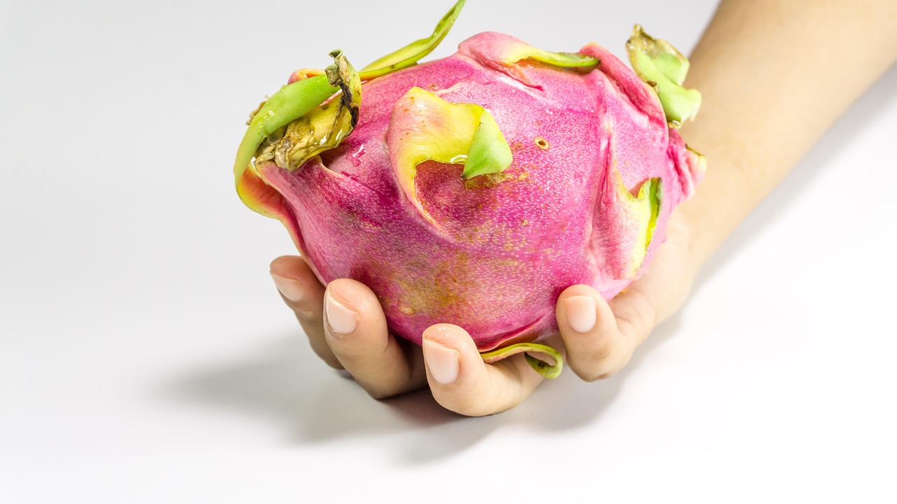 YY主播小白龍最新動態(tài)，探索成長與變化的軌跡