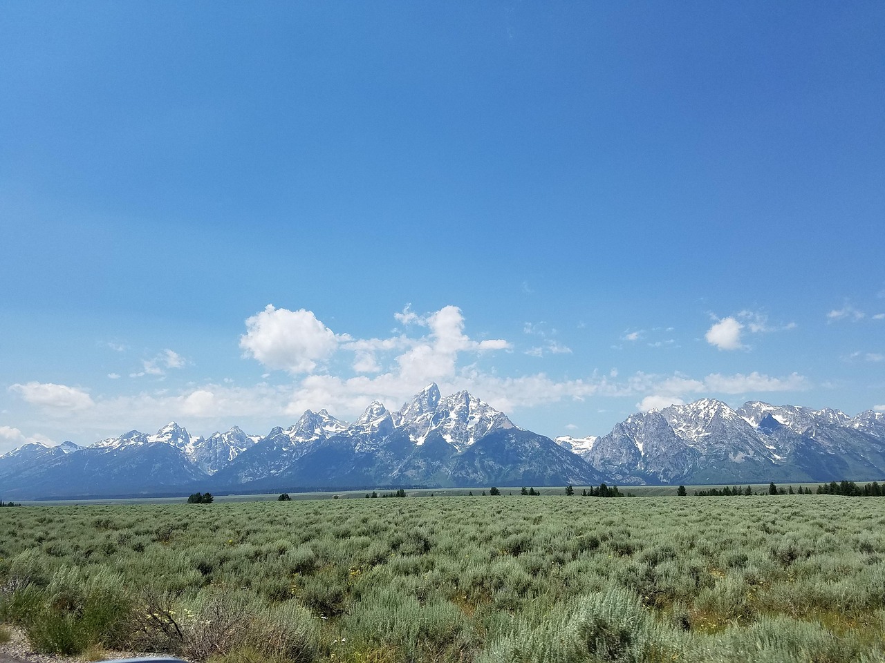 崀山犬木塘庫最新動(dòng)態(tài)，揭開神秘面紗下的壯麗景象揭秘