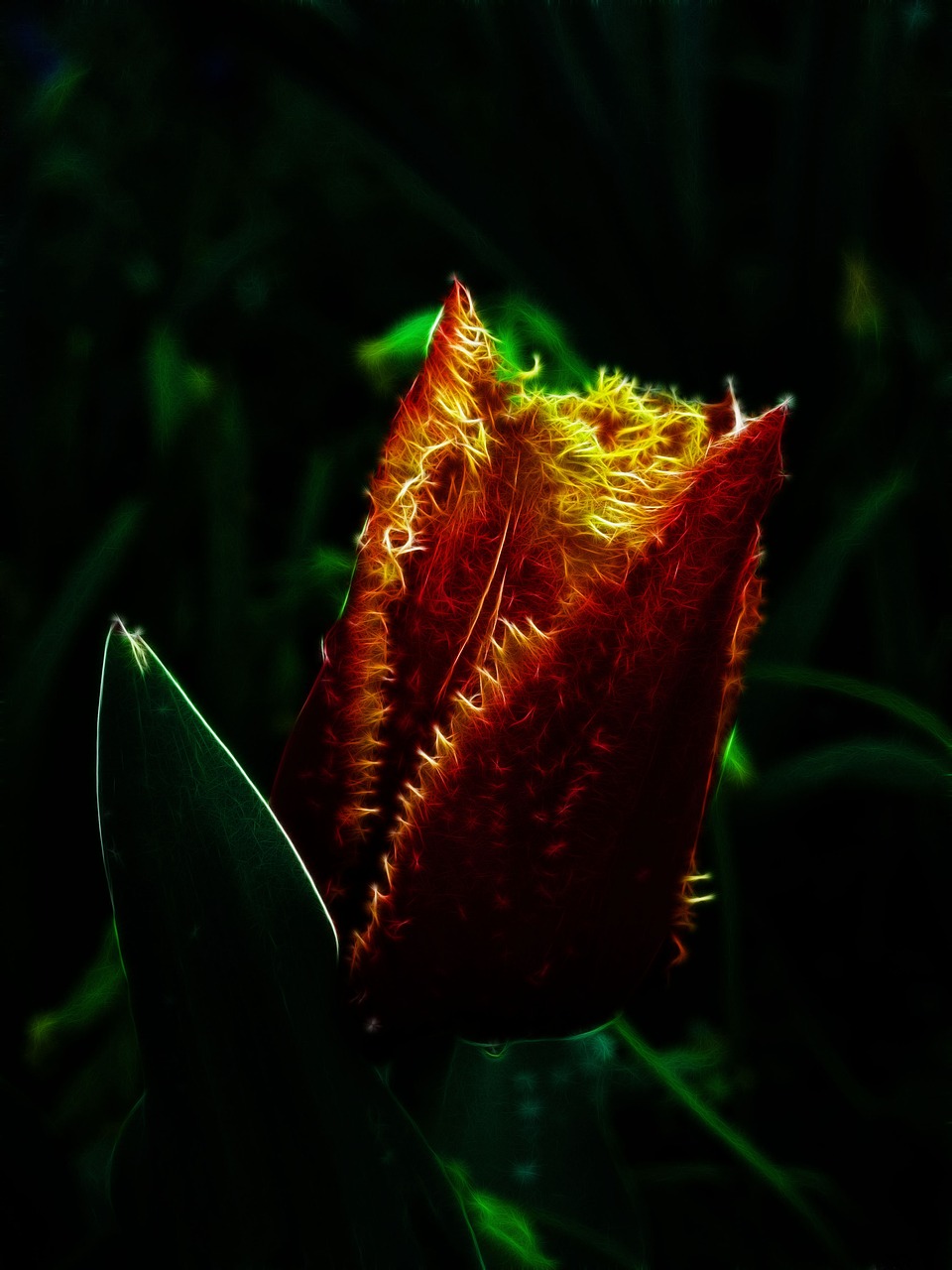 最新朵色產(chǎn)品進貨價格表圖詳解，全面了解朵色進貨價格動態(tài)