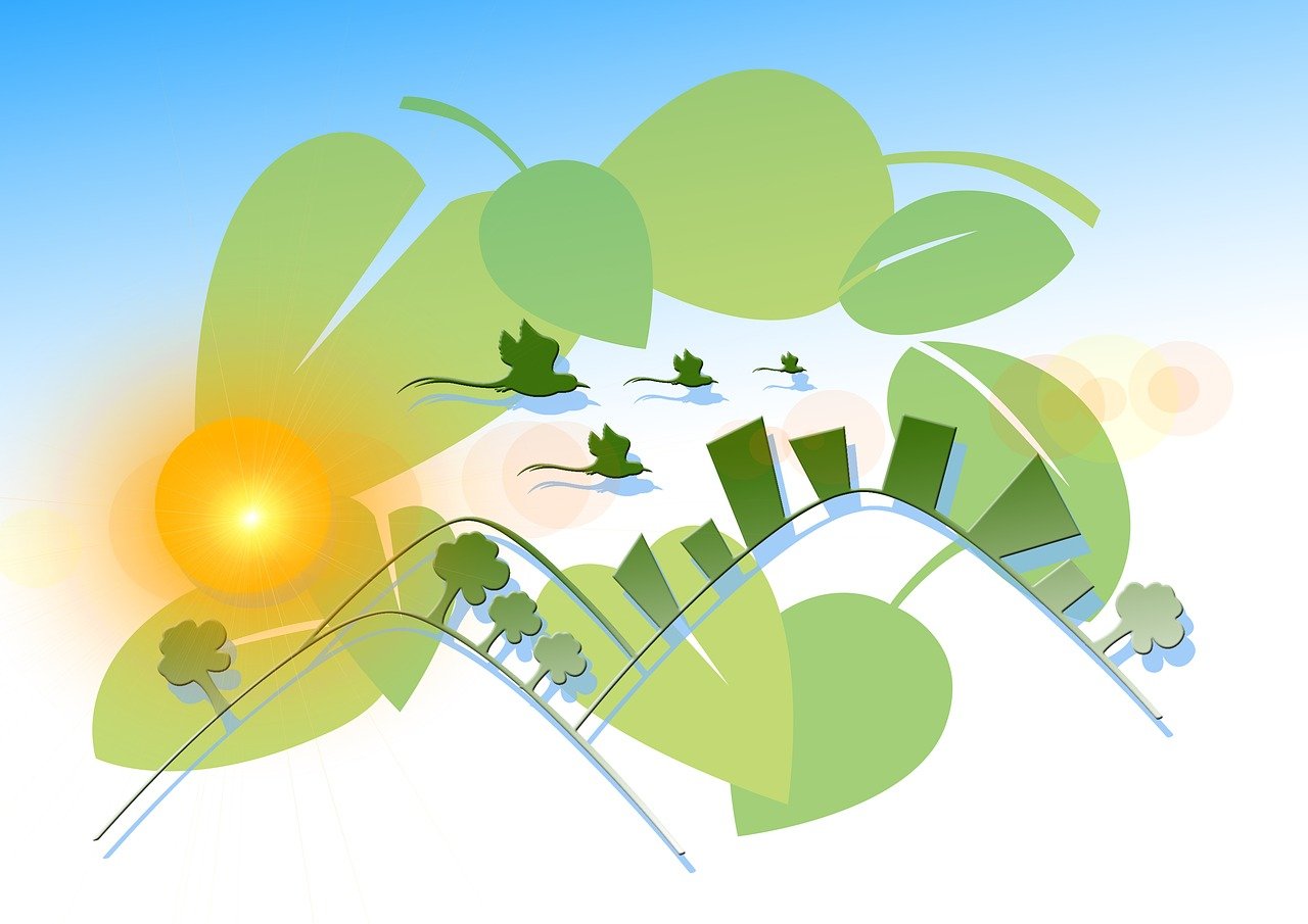 ST長油新三板動(dòng)態(tài)，最新消息與深度解析