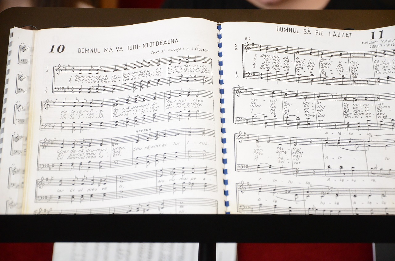 拾荒者符凡迪最新歌曲，城市音符中的獨(dú)特旋律