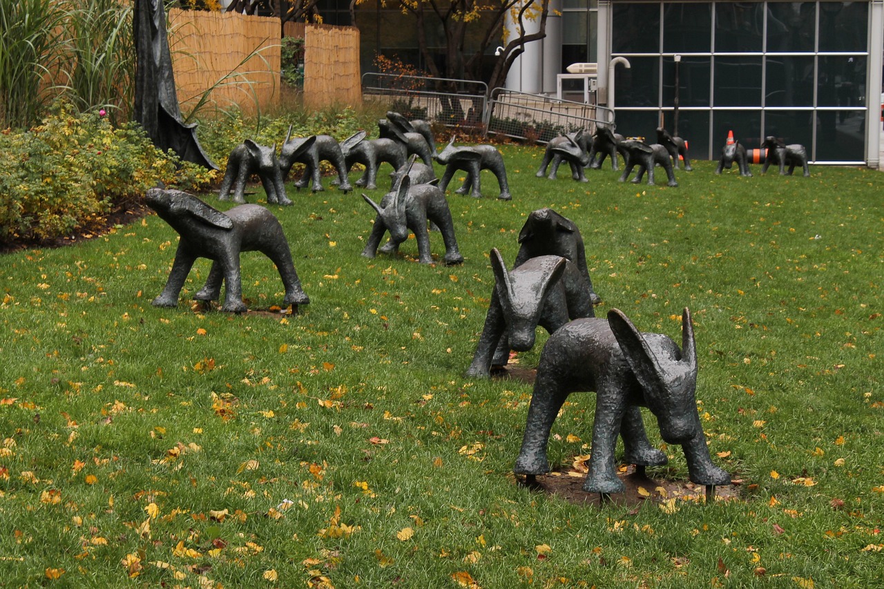 安湯一體化最新動態(tài)，引領(lǐng)城市發(fā)展的新浪潮