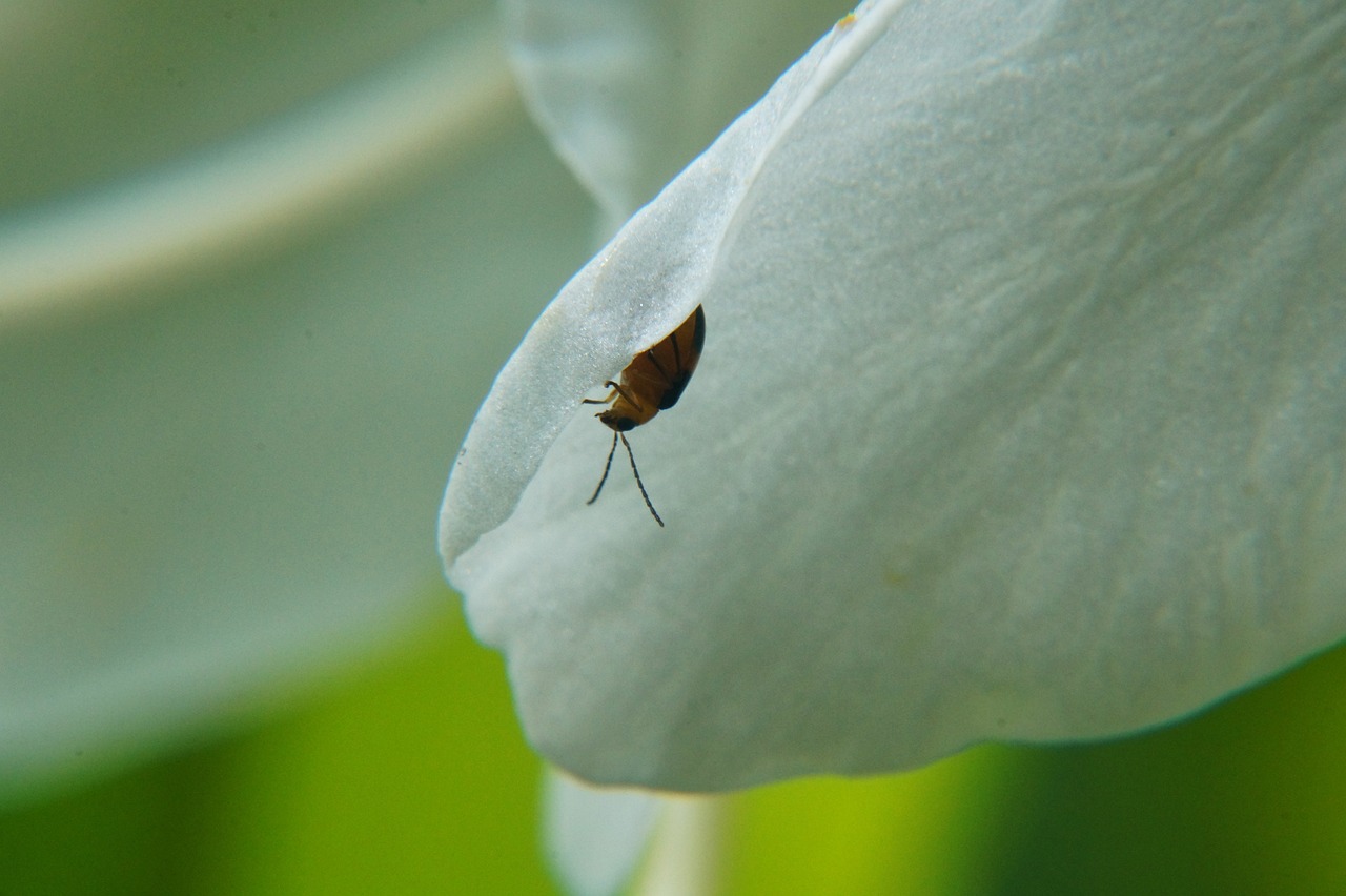 濟南地鐵R2線最新進展報告更新，最新動態(tài)揭秘！