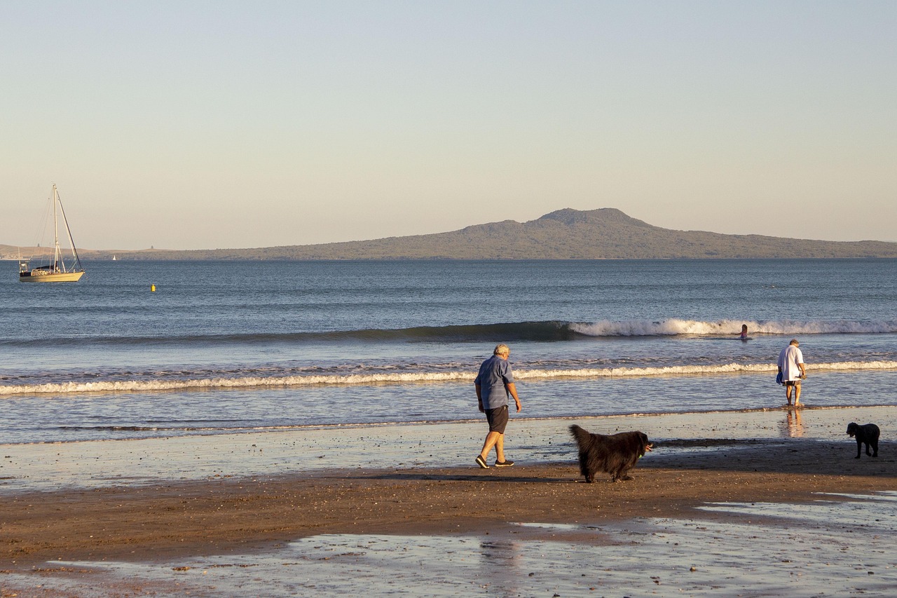 山西退休職工養(yǎng)老金調(diào)整最新動態(tài)，改革進(jìn)展、未來展望與調(diào)整消息速遞