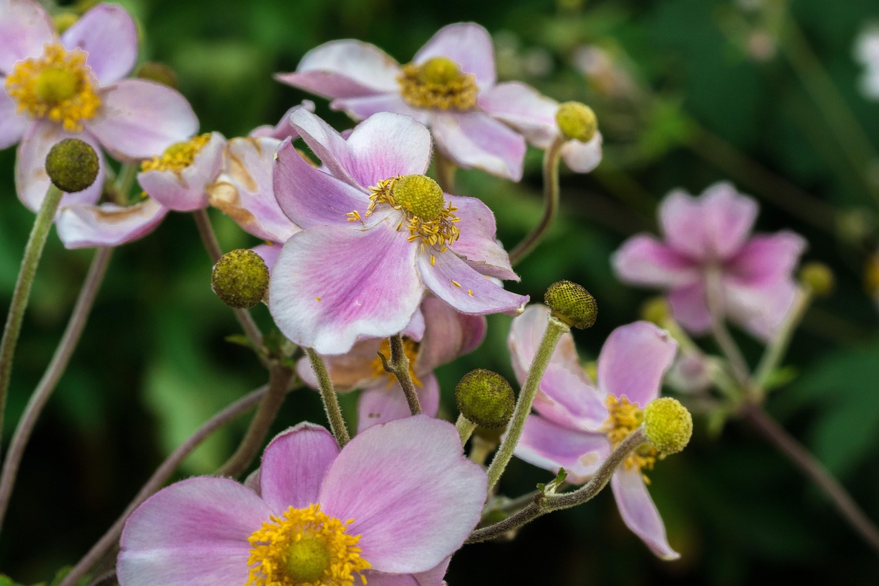 馬刺最新動態(tài)，持續(xù)進(jìn)化，蓄勢待發(fā)啟航新征程