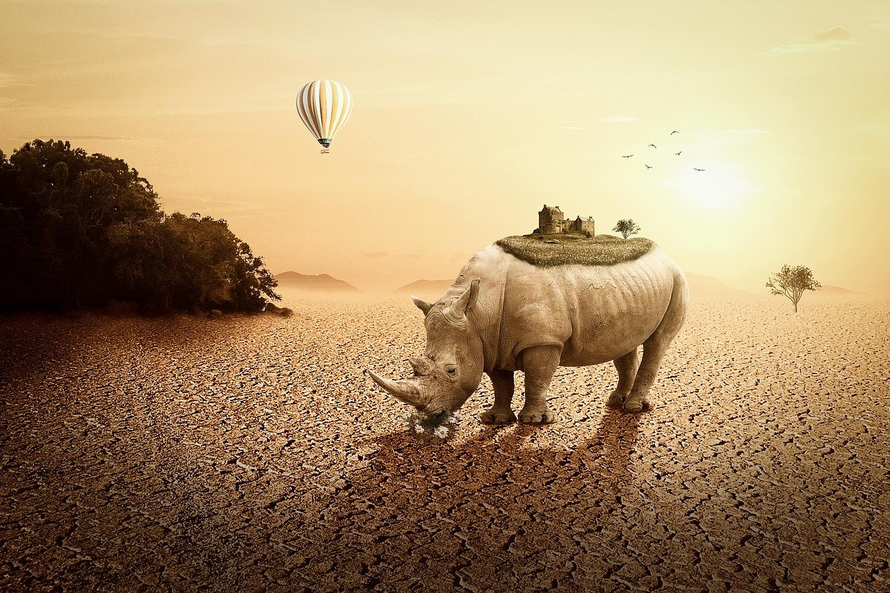 高陽最新樓盤信息全面解析，最新房源、動態(tài)及優(yōu)惠一網(wǎng)打盡！