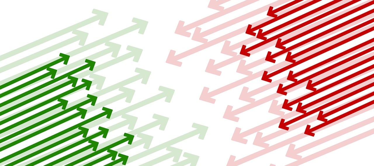 花刺代理最新趨勢及其影響概覽