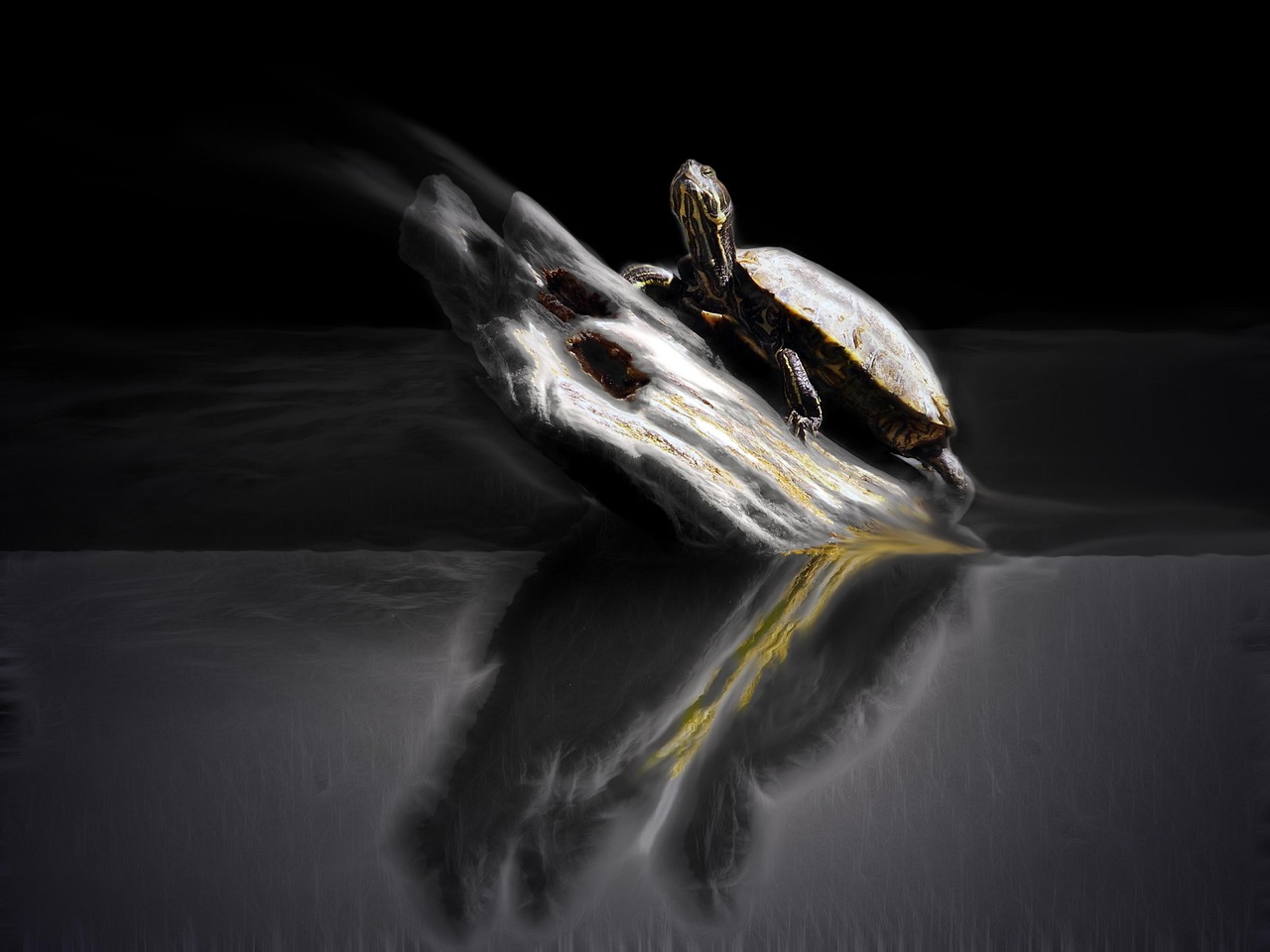 最新國產鬼片，恐怖與神秘的邊緣探索