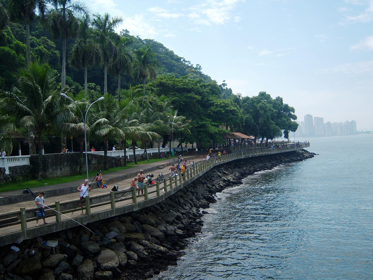 最新打魚(yú)平臺(tái)，探索現(xiàn)代漁業(yè)的新領(lǐng)域