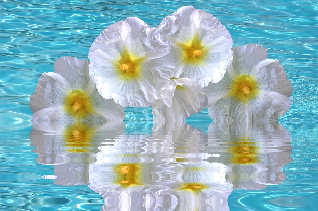 加勒比海域動態(tài)更新，海盜活動頻繁，警惕性需提升（最新報告 06月15日）