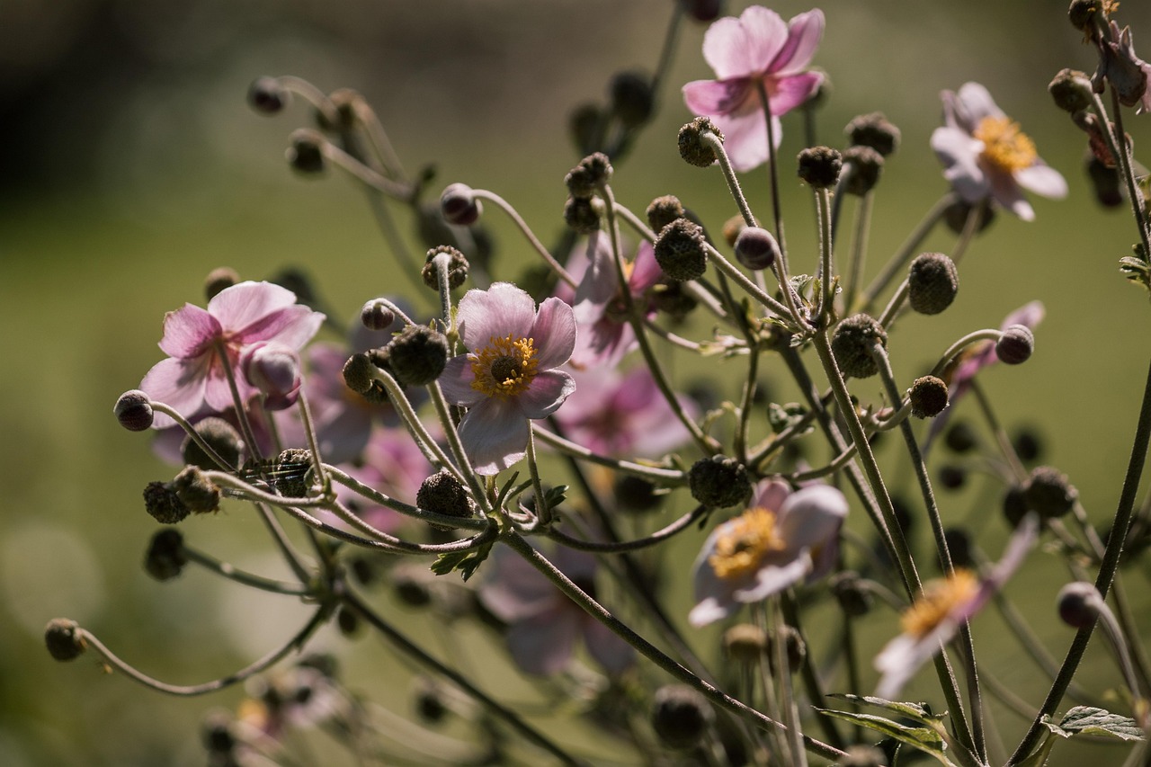 最新獲取信息資源及其影響，探索前沿領(lǐng)域的最新動(dòng)態(tài)