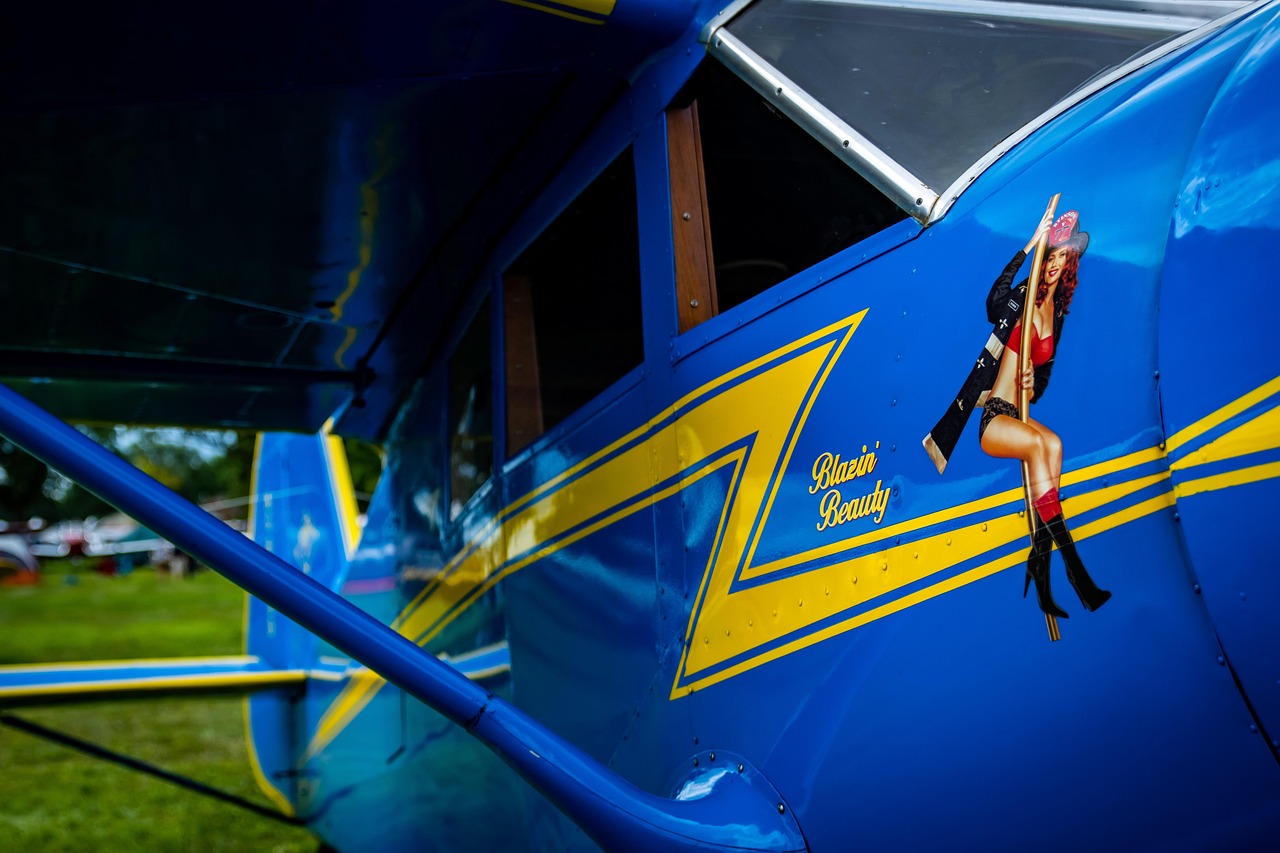 革新觀影體驗(yàn)，最新視頻app帶你飛！