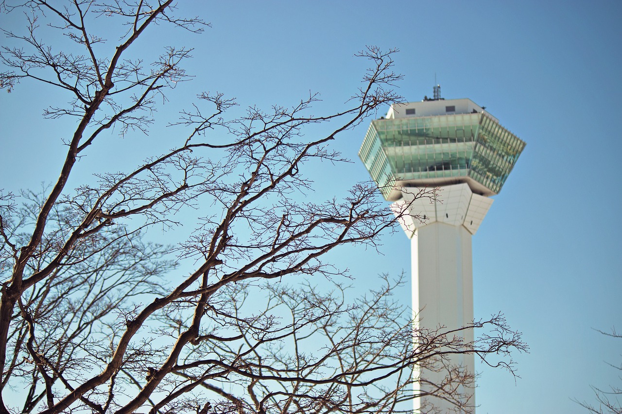 決斗之城最新動(dòng)態(tài)，新時(shí)代卡牌競技盛宴揭秘