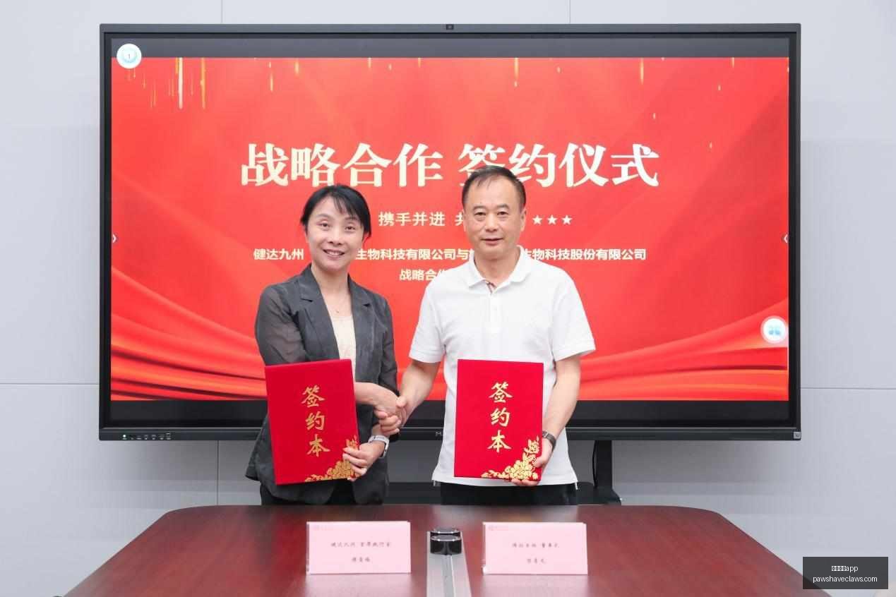佳宏新材北,交所过审历,历经四年三,足球博彩app官网,足球博彩app下载,足球博彩app登录,足球博彩app平台