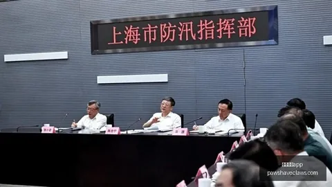 夺冠背后的赞助，体育品牌助力显著